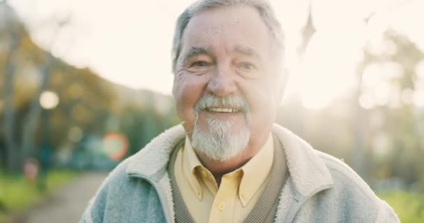 Пожилой Человек Счастливый Портретом Открытым Небом Парке Счастьем Позитивным Настроем — стоковое видео