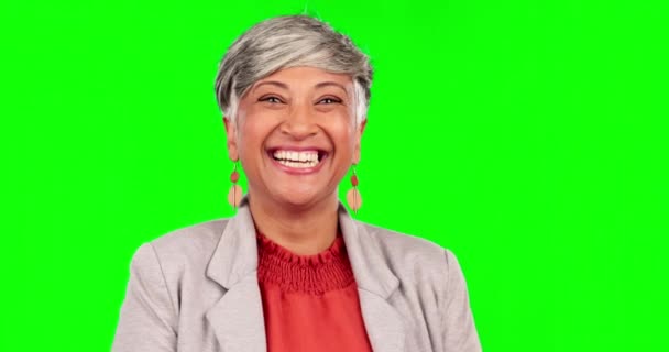 背景のモックアップ空間に隔離されたスタジオの緑の画面上の顔 最高経営責任者 Ceo とシニア女性 肖像画 面白いとビジネスの人 幸せな笑いでインドからの専門家やエグゼクティブ起業家 — ストック動画