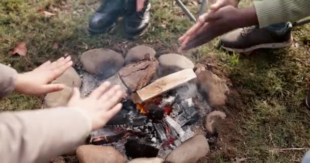 Campfire Χέρια Τους Ανθρώπους Εξωτερικούς Χώρους Στη Φύση Για Διασκέδαση — Αρχείο Βίντεο