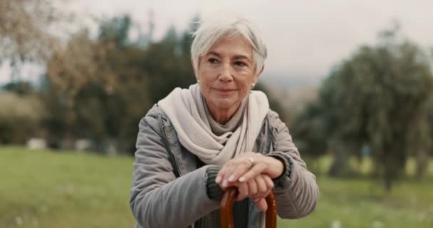 Nature Cane Senior Woman Park Fresh Air Exercise Wellness Peace — Stock Video