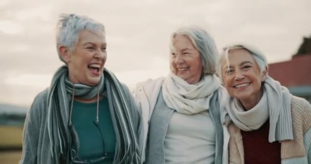 笑声和资深的女性朋友在公园外面在一起在退休的时候结合在一起 与一群快乐的老年人在花园里欢欢喜喜地厮混在一起 表现出自己的风采 微笑和幽默 — 图库视频影像
