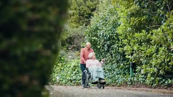 Senior Man Vrouw Rolstoel Park Voor Wandelen Praten Wijzen Naar — Stockvideo