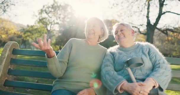 年事已高的女性天生善于与人交谈 放松和退伍 笑着和老朋友坐在公园的长椅上进行交流和观赏 — 图库视频影像
