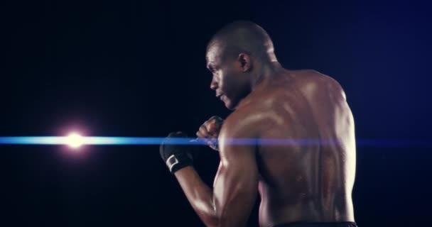 Patada Boxeo Mma Cara Boxeador Estudio Con Potencia Para Fitness — Vídeo de stock