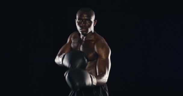 アスリート スタジオ アフリカのボクサーの顔は 黒い背景にフィットネスやウェルネスに自信を持っています ボクシング手袋 スポーツファイター またはトレーニングや戦闘エクササイズの準備ができている強い男 — ストック動画