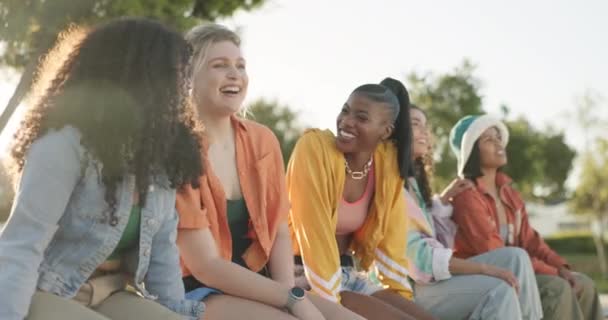 在暑假期间 公园里的朋友或朋友在一起谈笑风生 谈笑风生 在美国 一群有着自由 多样化或健康的人在户外快乐 微笑或滑稽 — 图库视频影像