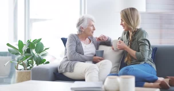 女与咖啡在客厅里的交流 质量时间和沙发上的粘合 老年人 喝茶的人和女孩 聊天的人和沙发上的快乐 — 图库视频影像