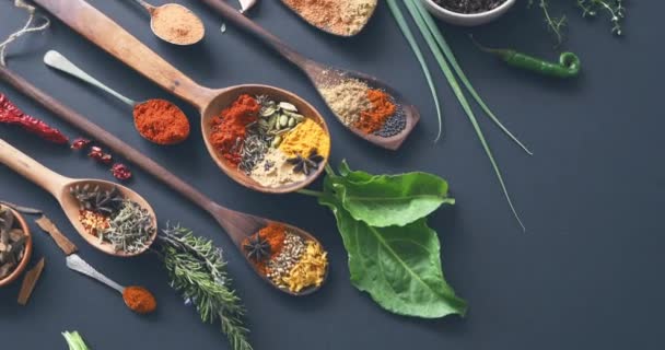 Épices Herbes Condiments Pour Curry Feuilles Studio Pour Assaisonnement Cuillères — Video