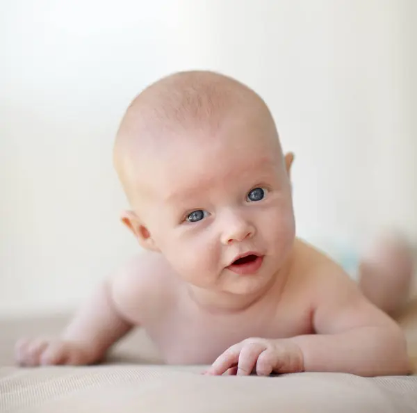 Pasgeborene Baby Portret Buik Bed Huis Voor Een Gezonde Ontwikkeling — Stockfoto