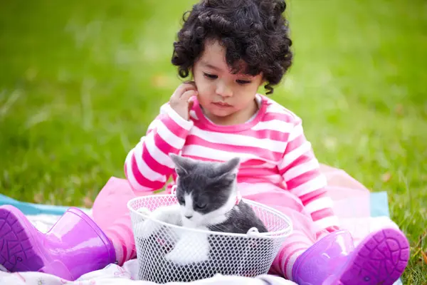 夏天的时候 为了爱情 关心或感情 你和你的小猫咪在公园里一起思考 野餐和玩耍 猫或孩子 还有花园里一个好奇的小孩 和她的宠物玩得很开心 — 图库照片
