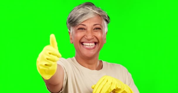 집안일 청소를 여자의 얼굴을 가정부 초인적 손으로 감사의 표시를 나이든 — 비디오