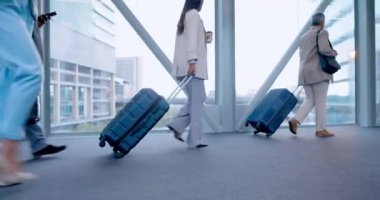 Havaalanı bagajı, yürüyüş ve iş adamları şirket fırsatları için uçağa, uçuş rezervasyonuna veya ulaşıma giderler. Bavul, uçak kalkışı ya da uluslararası iş gezisindeki profesyonel grup.