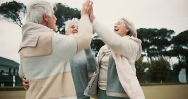Дайте Пять Поддержка Группа Старших Друзей Вместе Празднования Успеха Счастья — стоковое видео