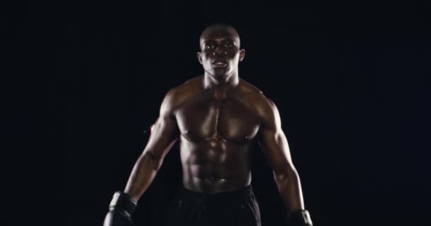 Hombre Fuerte Listo Cara Boxeador Estudio Con Poder Para Aptitud — Vídeos de Stock