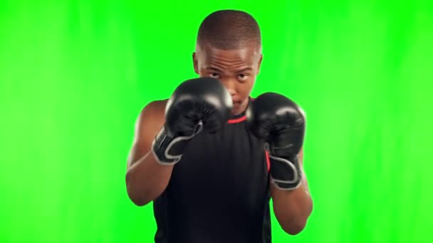 Чорний Чоловік Боксер Удар Бій Зеленому Екрані Проти Студійного Тла — стокове відео