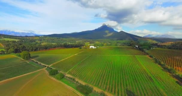 Drone Paysage Une Ferme Domaine Viticole Campagne Pour Agriculture Agriculture — Video
