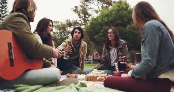 Пікнік Веселі Друзі Святкують Траві Напоями Відпустці Відпустці Вихідні Разом — стокове відео