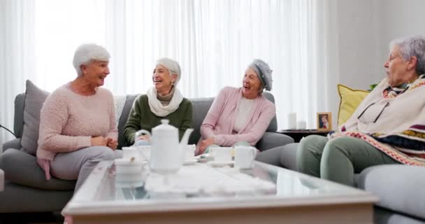 Grappige Oudere Vrouwen Vrienden Huiskamer Met Elkaar Verbonden Gelachen Happy — Stockvideo