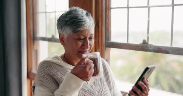 Olvasás Hírek Kávé Egy Idősebb Nővel Otthon Hogy Kommunikáljanak Médiával — Stock videók