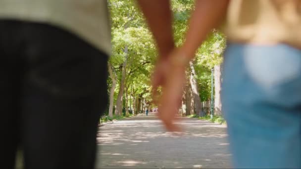 Rücken Des Paares Händchen Haltend Park Für Liebe Date Und — Stockvideo