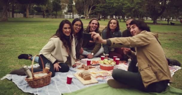 Picnic Selfie Amigos Con Comida Parque Vinculación Las Vacaciones Verano — Vídeo de stock