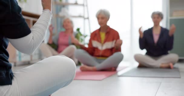 高齢者 ヨガクラス コーチの瞑想 総合的な健康とマインドフルネスのための蓮と平和の手 スピリチュアルなトレーニング グループ 落ち着いた高齢女性 クライアント パーソナルトレーナー — ストック動画