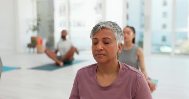 Clase Yoga Mujer Meditación Para Salud Mental Mindfulness Calmado Zen — Vídeos de Stock