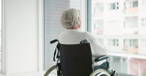 Denken Frau Rollstuhl Und Fenster Pflegeheim Oder Behinderte Krankenhaus Mit — Stockvideo