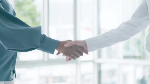 Üzletemberek Kézfogás Találkozó Bevezetés Partnerség Vagy B2B Üzlet Irodában Munkavállalók — Stock videók