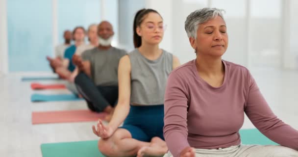 Menschen Yoga Kurs Und Lotus Meditation Oder Ganzheitliches Wellness Training — Stockvideo