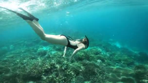 Дайвинг Плавание Женщина Океане Приключений Отдыха Отдыха Маврикии Природа Путешествия — стоковое видео