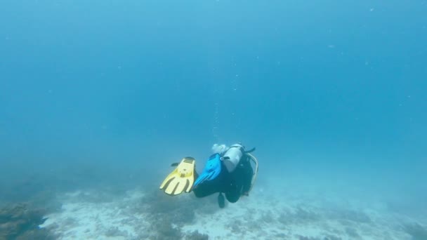 在假日 假期或水下自然潜水或游泳时 因潜水或游泳而产生的海洋 探险和气泡 潜水者 脚步声及在热带海洋中潜水及潜水的珊瑚礁探险 — 图库视频影像