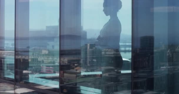 Бізнес Жінка Вікно Зброєю Схрещені Мислення Ідеї Корпоративному Офісі Розгляду — стокове відео