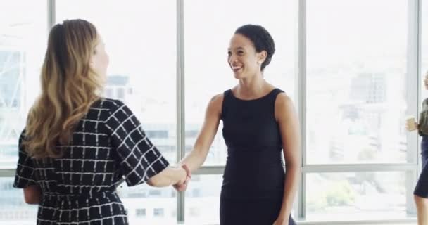 商务女性 握手和欢迎到工作面试 人力资源会议或职业介绍的大堂 快乐的人或客户握手或谈论招聘 机会或招聘 — 图库视频影像
