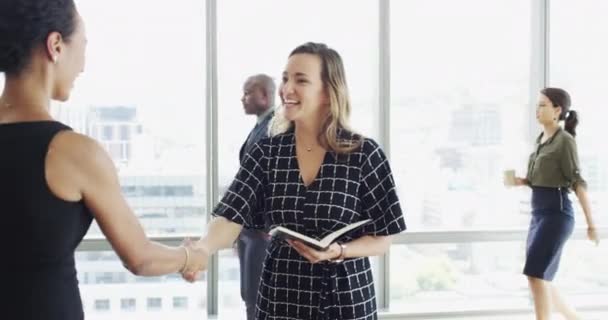 Mujeres Negocios Apretón Manos Hola Para Entrevista Trabajo Reunión Recursos — Vídeos de Stock