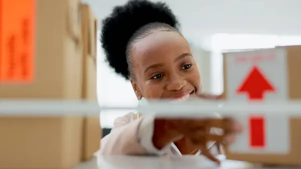 Mutlu Siyah Kadın Küçük Işletmelerde Kutu Lojistik Envanter Denetimi Veya — Stok fotoğraf