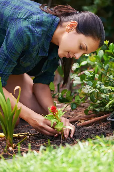 Making Sure Its Tucked Attractive Young Woman Working Garden — Stock Photo, Image