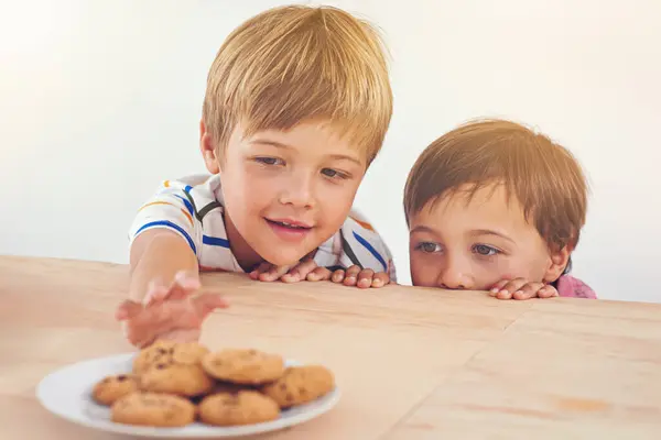 Hiivitään Pikkuleivät Ennen Päivällistä Kaksi Pientä Poikaa Yritti Ottaa Keksin — kuvapankkivalokuva