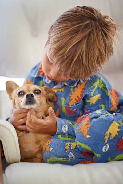 Kasvamme Yhdessä Rakastamme Toisiamme Pieni Poika Silitti Koiraansa Sohvalla — kuvapankkivalokuva