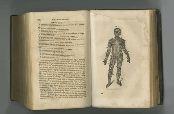 Медицинский Журнал Старая Анатомическая Книга Страницами Выставке — стоковое фото