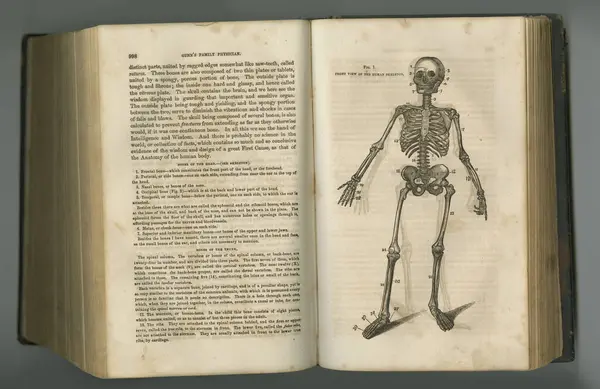 Antiek Medisch Dagboek Een Oud Anatomieboek Met Tentoongestelde Pagina — Stockfoto