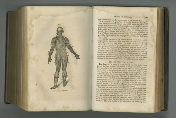 Medisch Dagboek Een Oud Anatomieboek Met Tentoongestelde Pagina — Stockfoto
