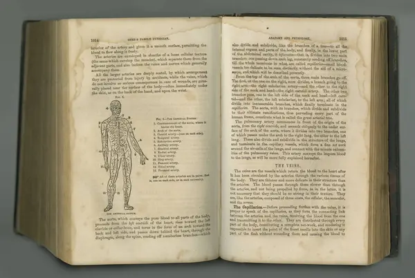 Медицинский Журнал Старая Анатомическая Книга Страницами Выставке — стоковое фото