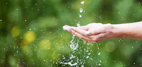 Woman, hands and palm with water for natural sustainability, washing or cleanse in nature. Closeup of female person with falling liquid drops for sustainable eco friendly environment in the outdoors.