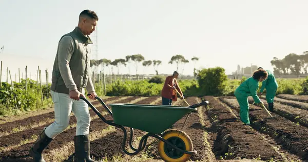 Man, wheelbarrow and soil for working on farm for agribusiness, landscaping or gardening in countryside. Person, walk and field for nutrition, eco development or future growth by planting for harvest.