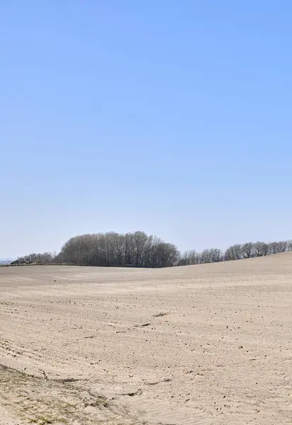 巴伦农场 有树木和蓝天背景 夏热干旱造成的荒芜农田和对农业的冲击 空旷干枯的沙地 有复制空间 — 图库照片