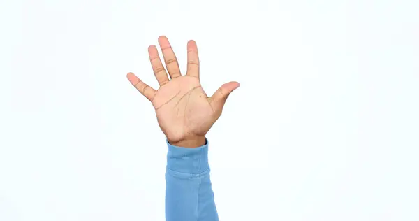 成功的5人以上的手 掌或特写 志愿或帮助慈善组织制作工作室模型 白底手语 感叹号或警告信号的呈现 手指和停止 — 图库照片