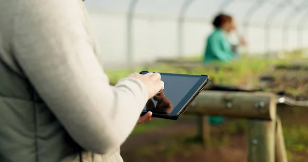 Person Farmer Tablet Greenhouse Farming Worker Agriculture Supply Chain Call — Stock Photo, Image