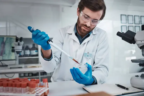 Science, petri dish and man scientist for healthcare research test, analysis or neurology study in laboratory. Focus medical worker, chemistry professional or expert with blood DNA sample for cancer.