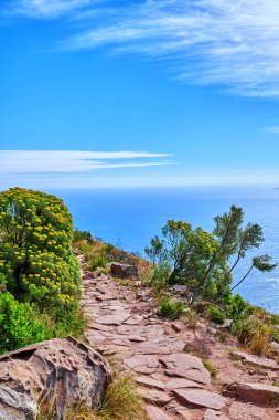 Uçurumun kenarındaki yürüyüş parkurundan güzel bir okyanus manzarası. Güneşli bir günde, Cape Town 'daki Masa Dağı Milli Parkı' nda mavi gökyüzü ve fotokopi alanı olan renkli kır çiçeklerinin manzarası..